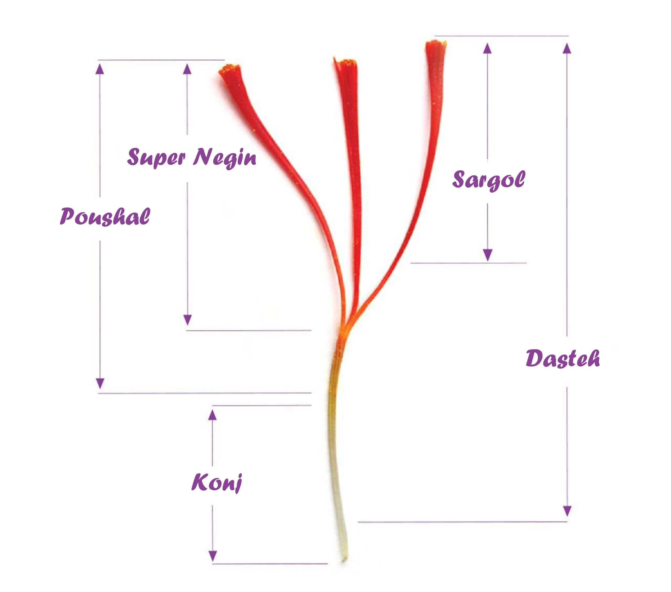 different-types-of-saffron2-scaled